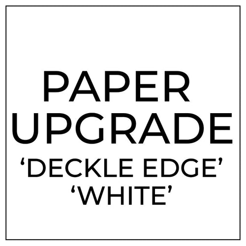 deckle edge paper - white