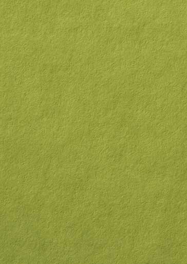 gmund grass green colour paper, newcastle wedding invitations, diy stationery