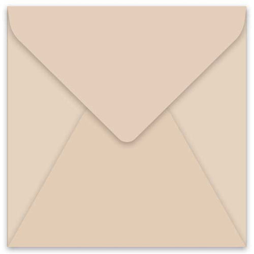 curious metallic nude envelope square