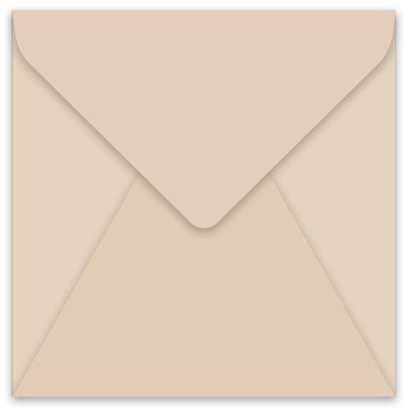 curious metallic nude envelope square