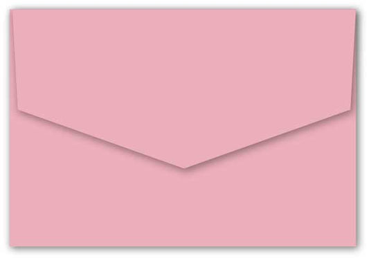 envelope bloom carnation pink