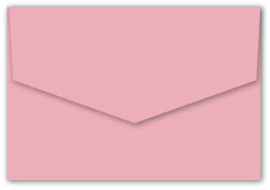 envelope bloom carnation pink