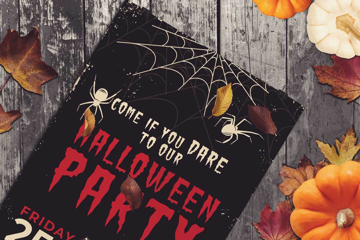 Spider Web - Halloween