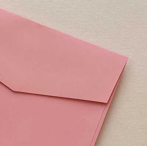 envelope bloom carnation pink closeup