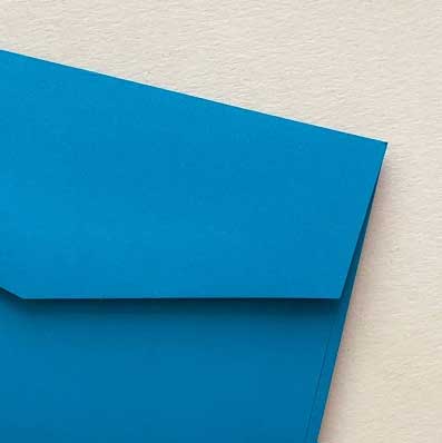 envelope bloom cornflower blue closeup