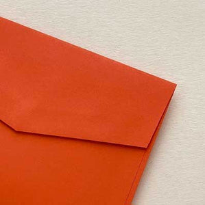 envelope bloom tigerlily orange closeup