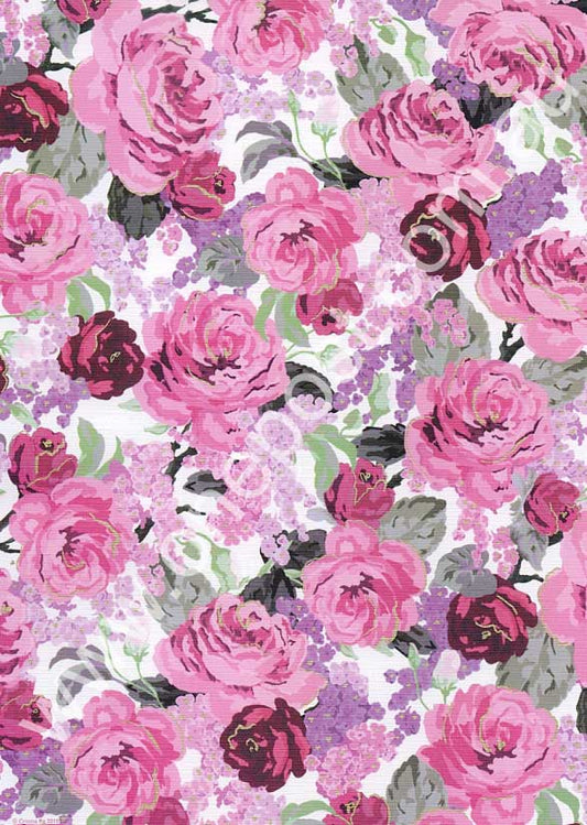 cristina re hydrangea rose