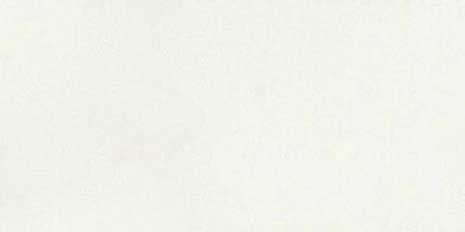 satin ribbon cream
